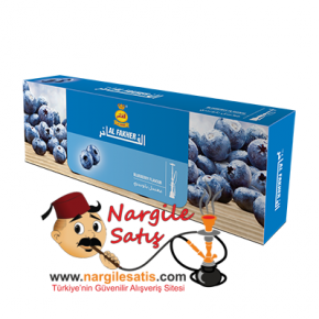 Al Fakher Blueberry 50 gr